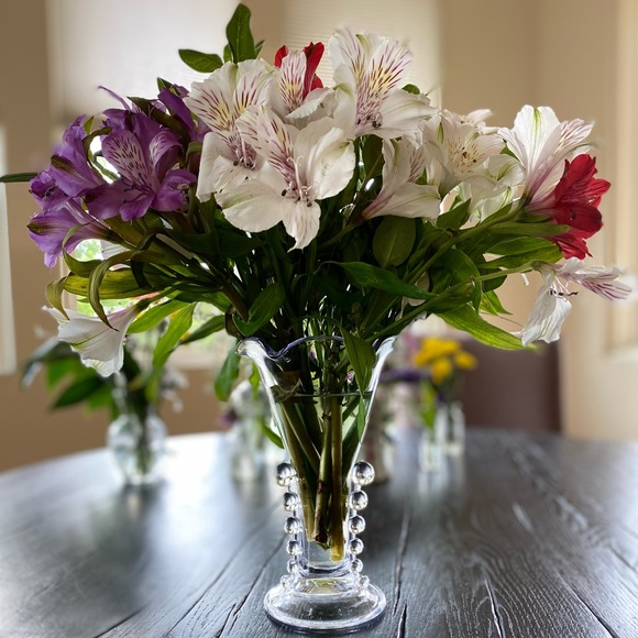 Meet your Posher, Lori - Picture 5 of 8